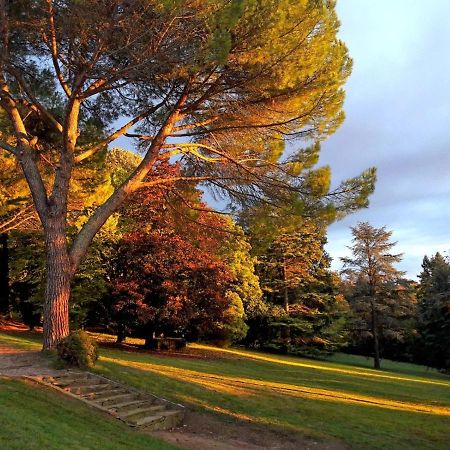 Domaine De Gailhaguet B&B Verfeil  Экстерьер фото