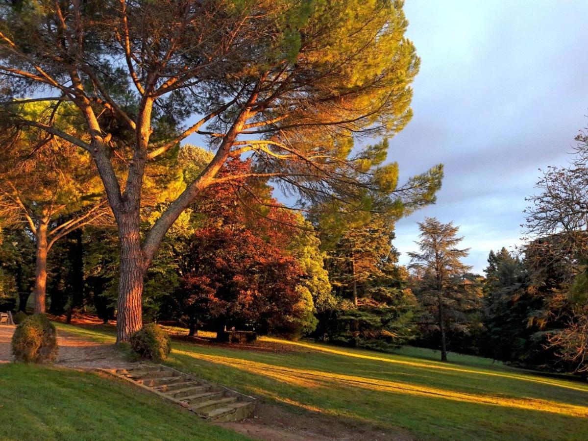Domaine De Gailhaguet B&B Verfeil  Экстерьер фото
